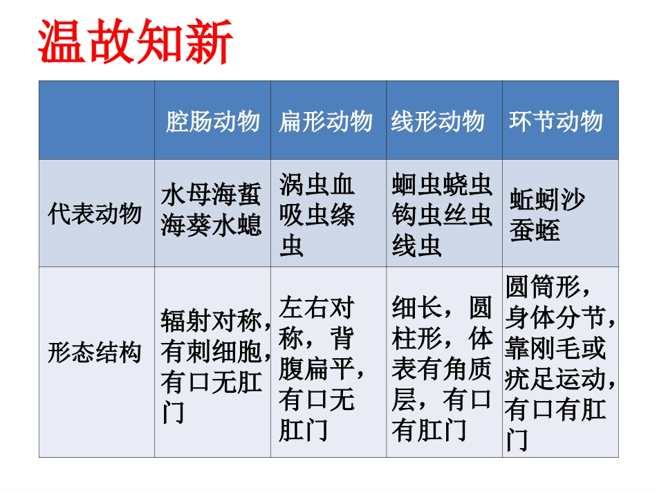 第三节软体动物和节肢动物_第1页