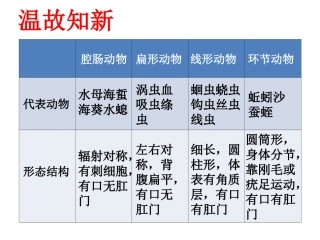 第三节软体动物和节肢动物