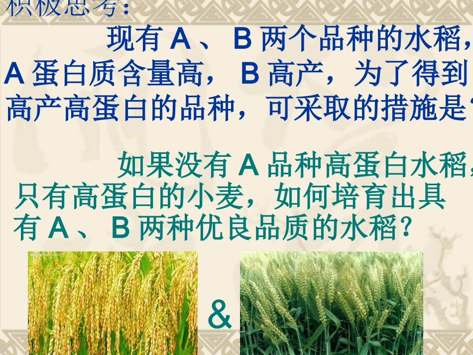 基因工程的应用_第2页