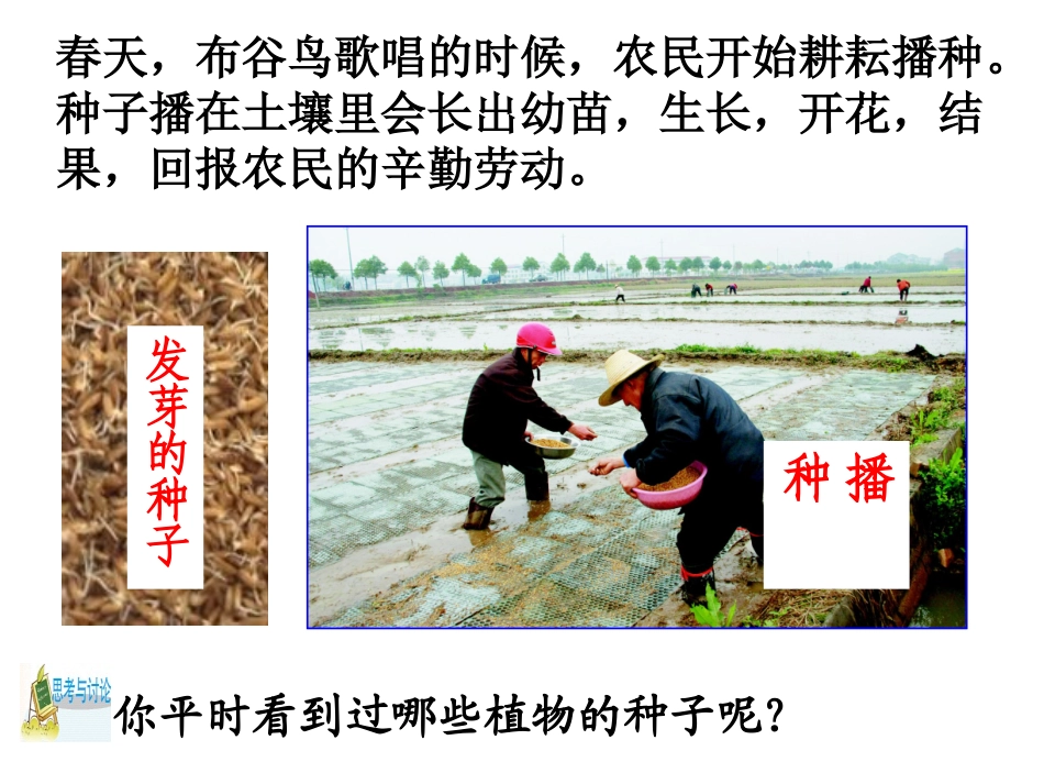 第4节植物的一生（第一课时）_第2页