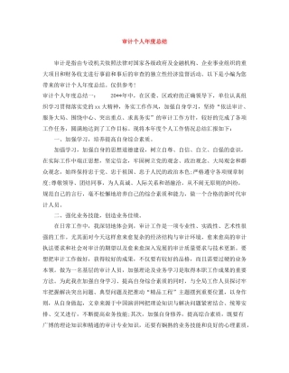 审计个人年度总结