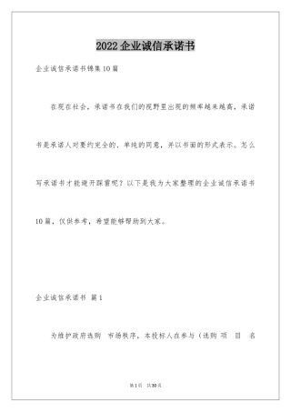 2024企业诚信承诺书_18