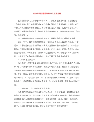 2020年司法警察年终个人工作总结