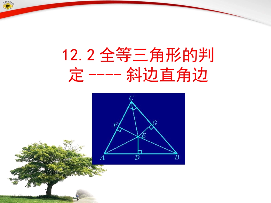 _三角形全等的判定HL_第2页