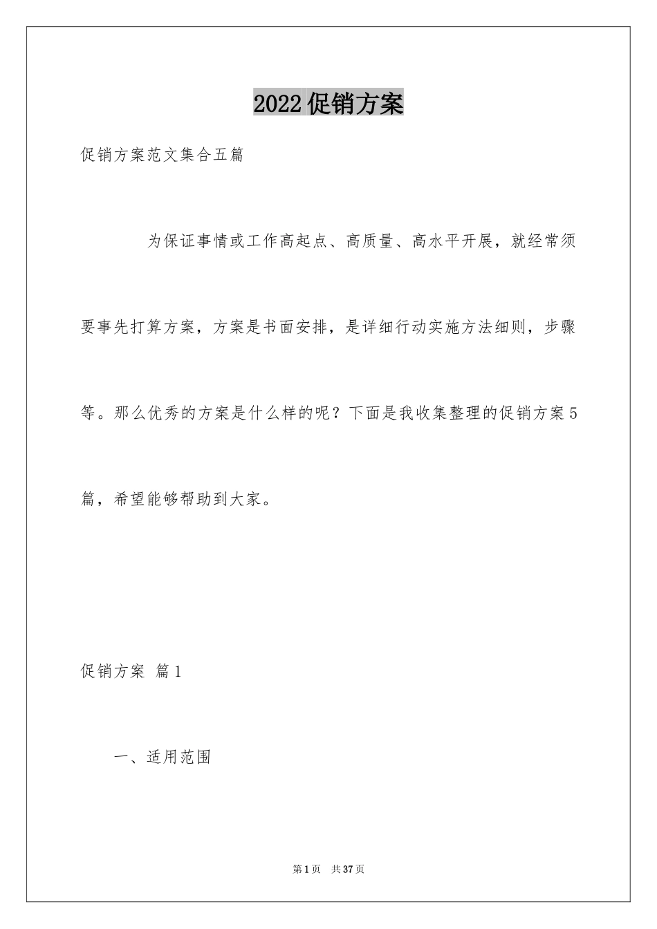 2024促销方案_第1页