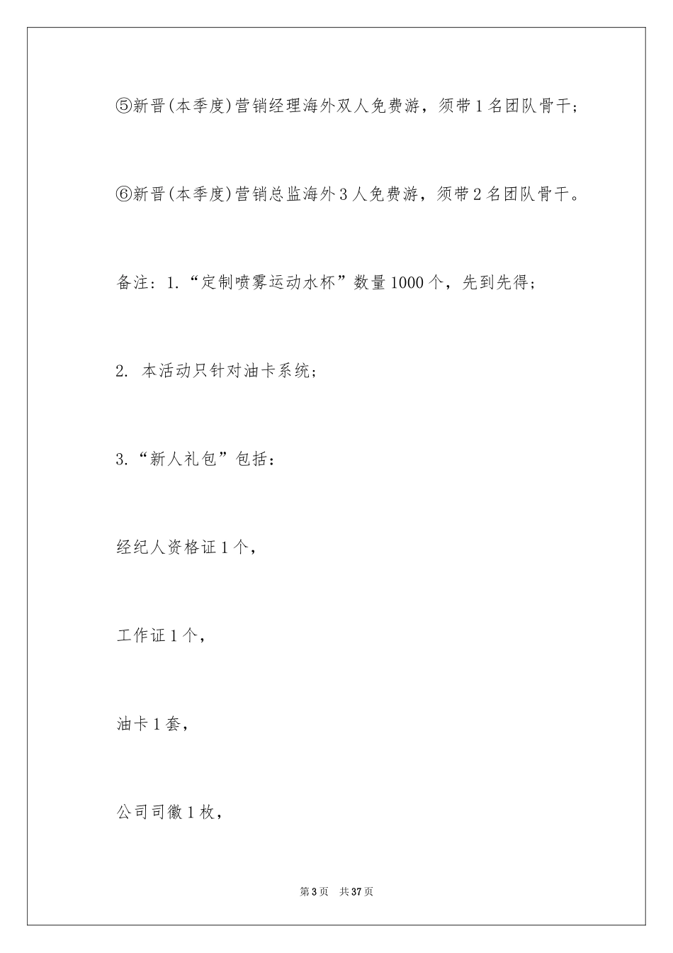 2024促销方案_第3页