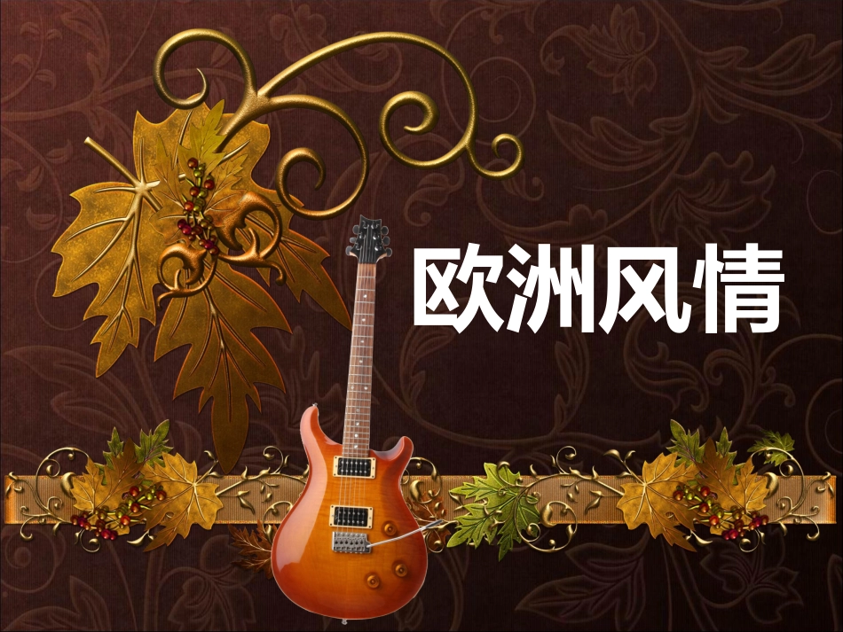 欧洲风情之雪绒花_第1页