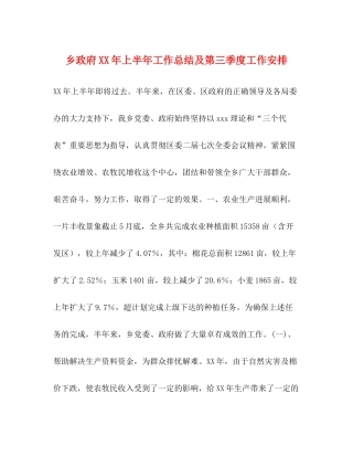 乡政府年上半年工作总结及第三季度工作安排