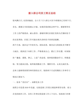 新入职公司员工转正总结