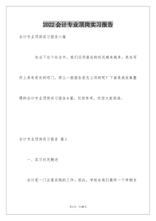 2024会计专业顶岗实习报告_3