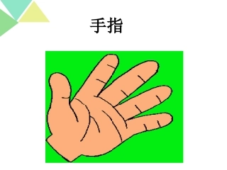 人教版六年级语文下册《手指》课件20130312