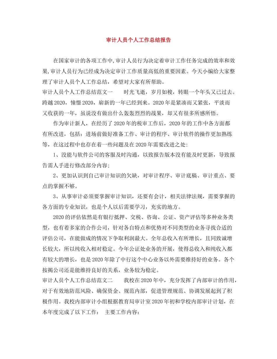 审计人员个人工作总结报告_第1页