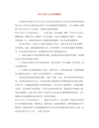 审计人员个人工作总结报告