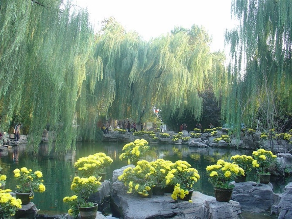 地球上生命的起源_第3页