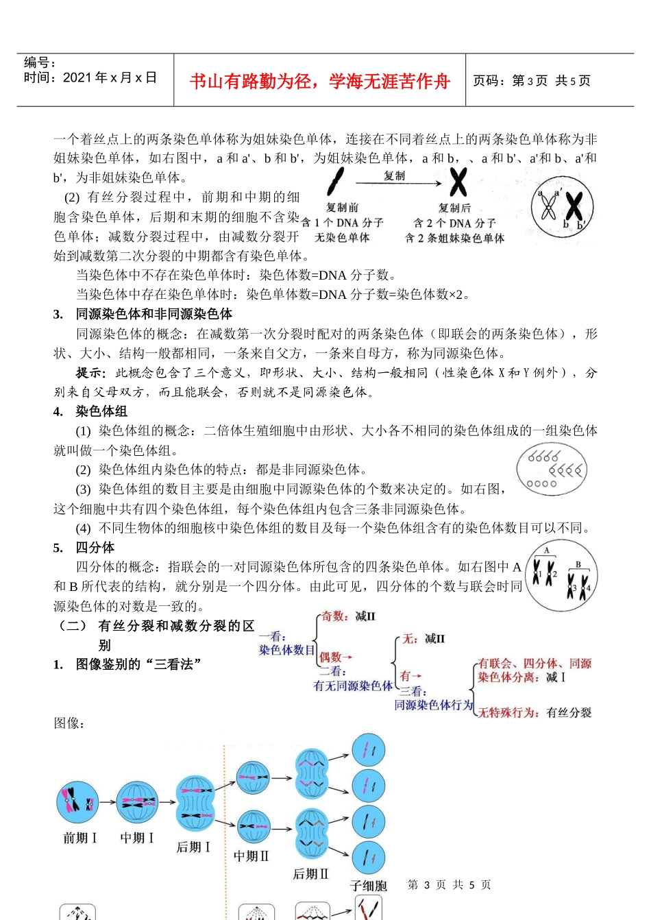 细胞的生命历程和生物的生殖发育_第3页