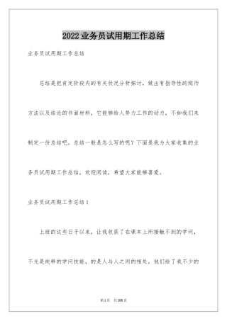 2024业务员试用期工作总结_11