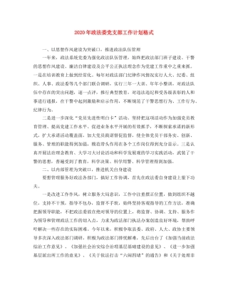 2020年政法委党支部工作计划格式 