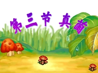 第三节真菌1 (2)