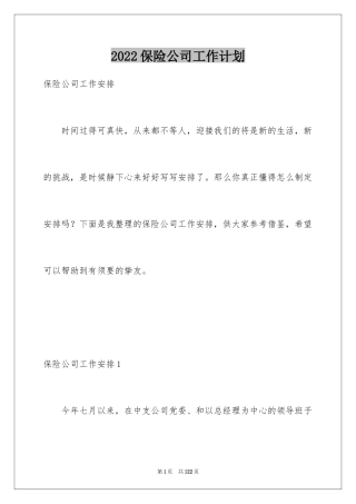 2024保险公司工作计划_1