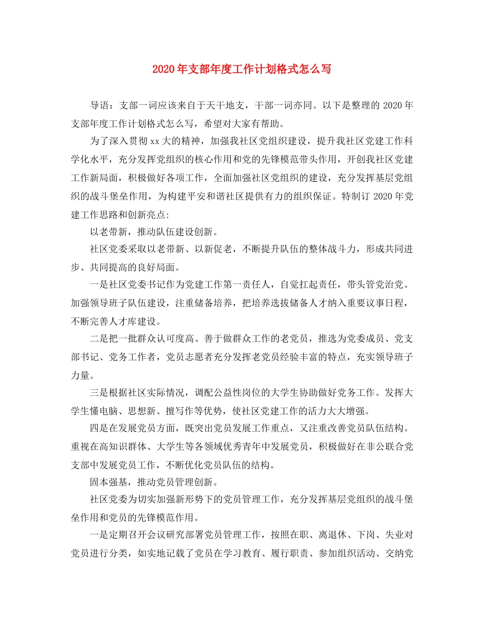 2020年支部年度工作计划格式怎么写 _第1页