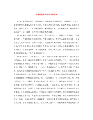 武警医院护师工作总结范例