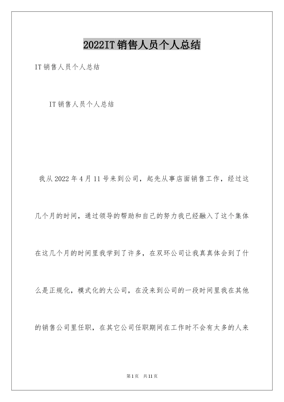 2024IT销售人员个人总结_第1页