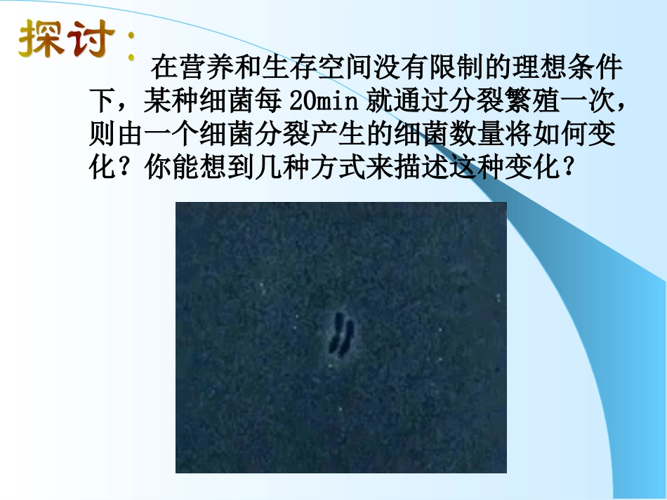 种群的数量变化mm2_第2页