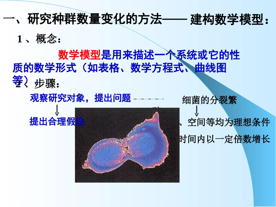 种群的数量变化mm2_第3页