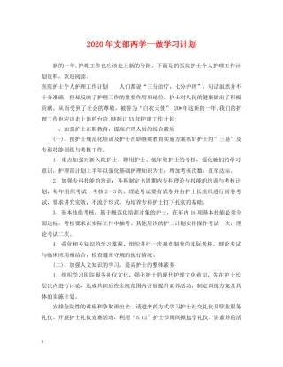 2020年支部两学一做学习计划 
