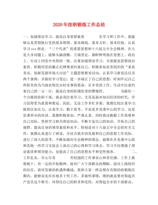 2020年挂职锻炼工作总结 