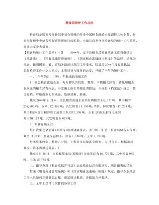 粮食局统计工作总结