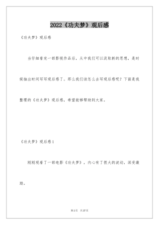 2024《功夫梦》观后感