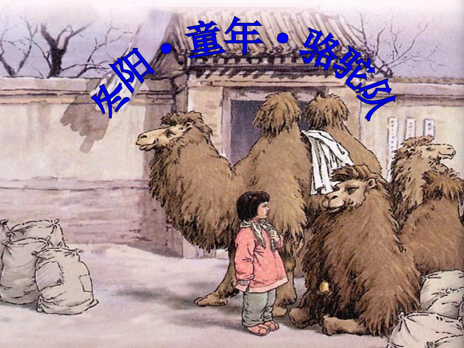 冬阳童年骆驼队课件_第1页