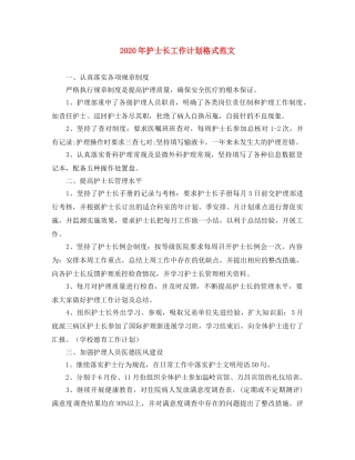 2020年护士长工作计划格式范文 