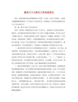 新员工个人转正工作总结范文2