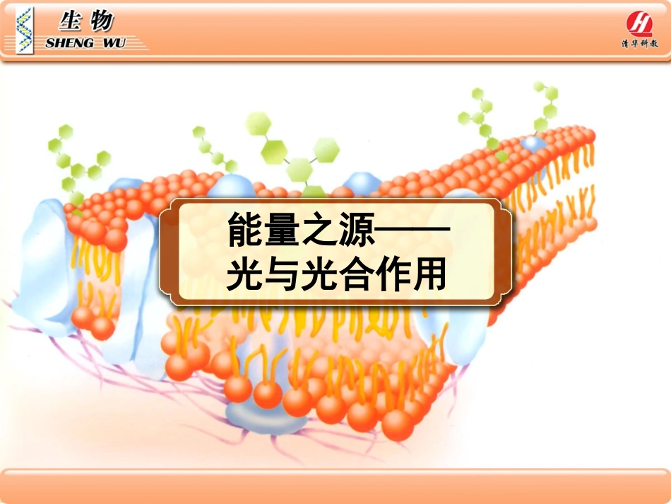 参考课件2《能量之源——光与光合作用》_第1页