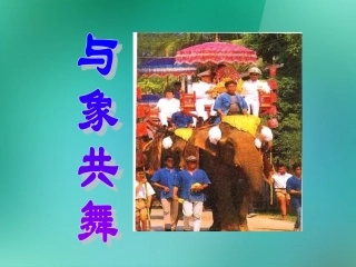 五年级语文下册-第八单元-第27课《与象共舞》课件-人教版