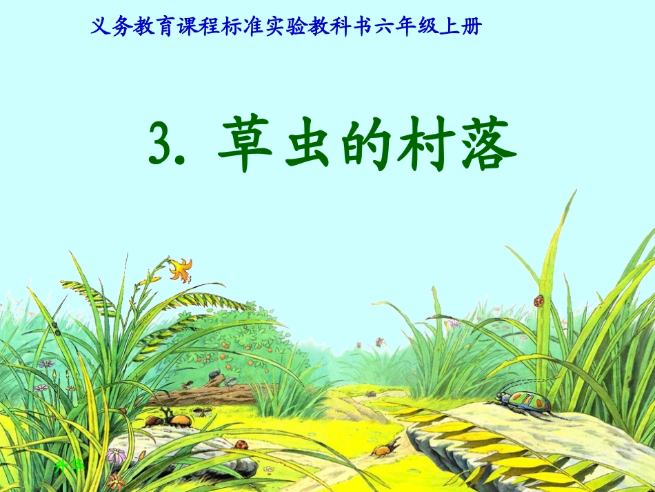 《草虫的村落》课件_第1页