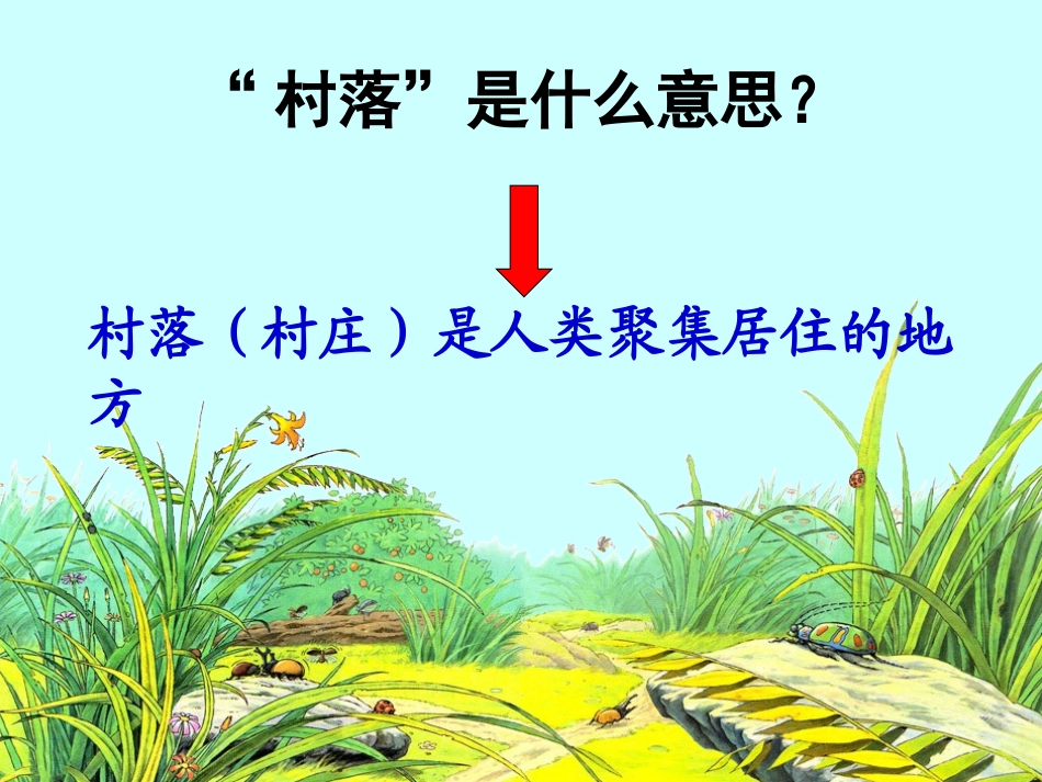 《草虫的村落》课件_第2页