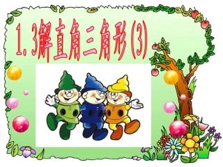 解直角三角形()