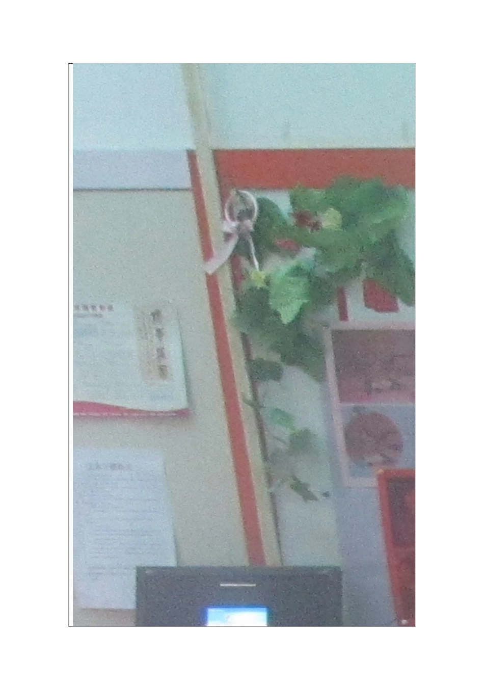 区域活动环境布置_第2页