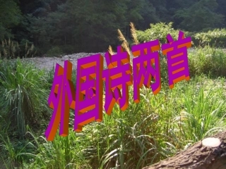 外国诗两首（好）
