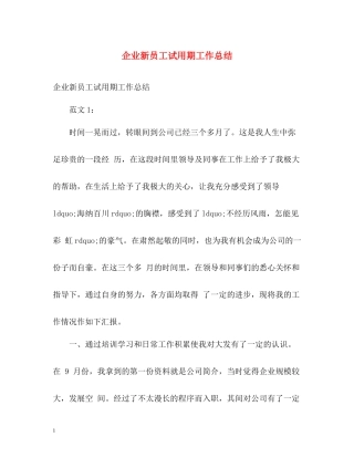 企业新员工试用期工作总结