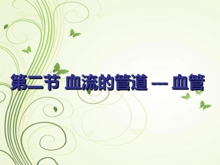 血流的通道-血管