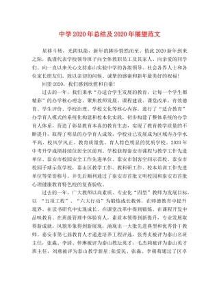 2020年总结及2020年展望范文 