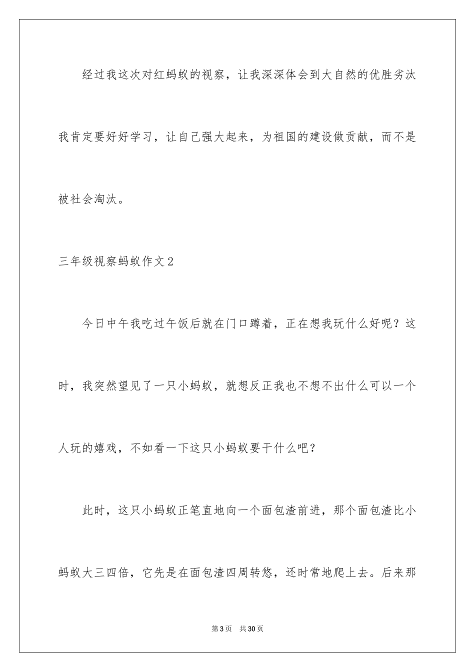 2024三年级观察蚂蚁作文_第3页