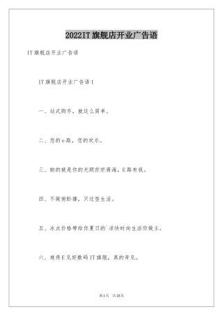 2024IT旗舰店开业广告语