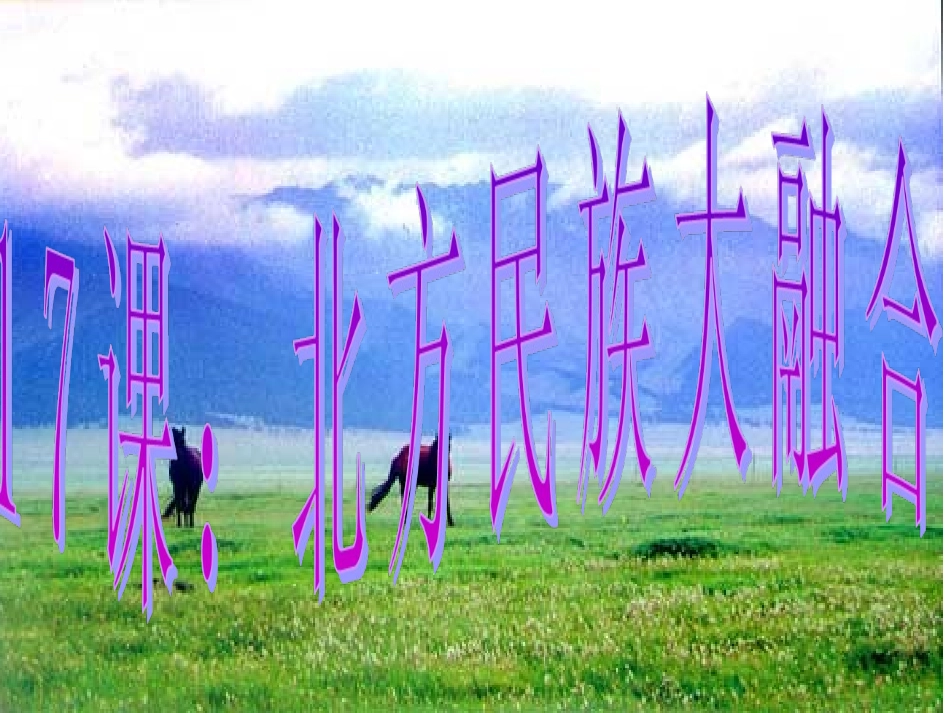 初一历史第17课北方民族大融合课件_第3页