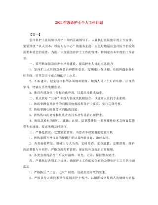 2020年急诊护士个人工作计划 