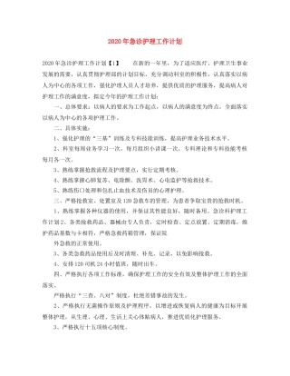 2020年急诊护理工作计划 